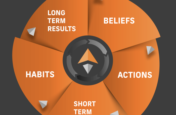 Screenshot of Beliefs Cycle